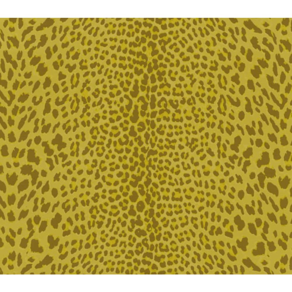 zoomed-img