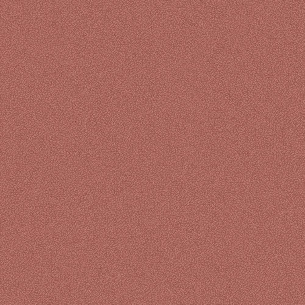 zoomed-img