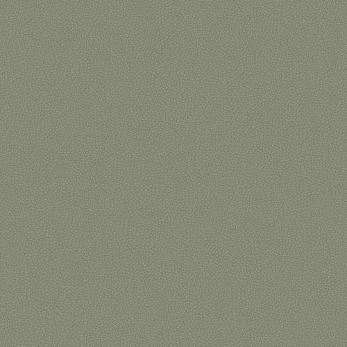 12lM0l3pq2y6sDeaGMNan6yug8Gkro-metabGVvbmUtcGx1c183MDU0MjBfbG93cmVzLmpwZw==-.jpg