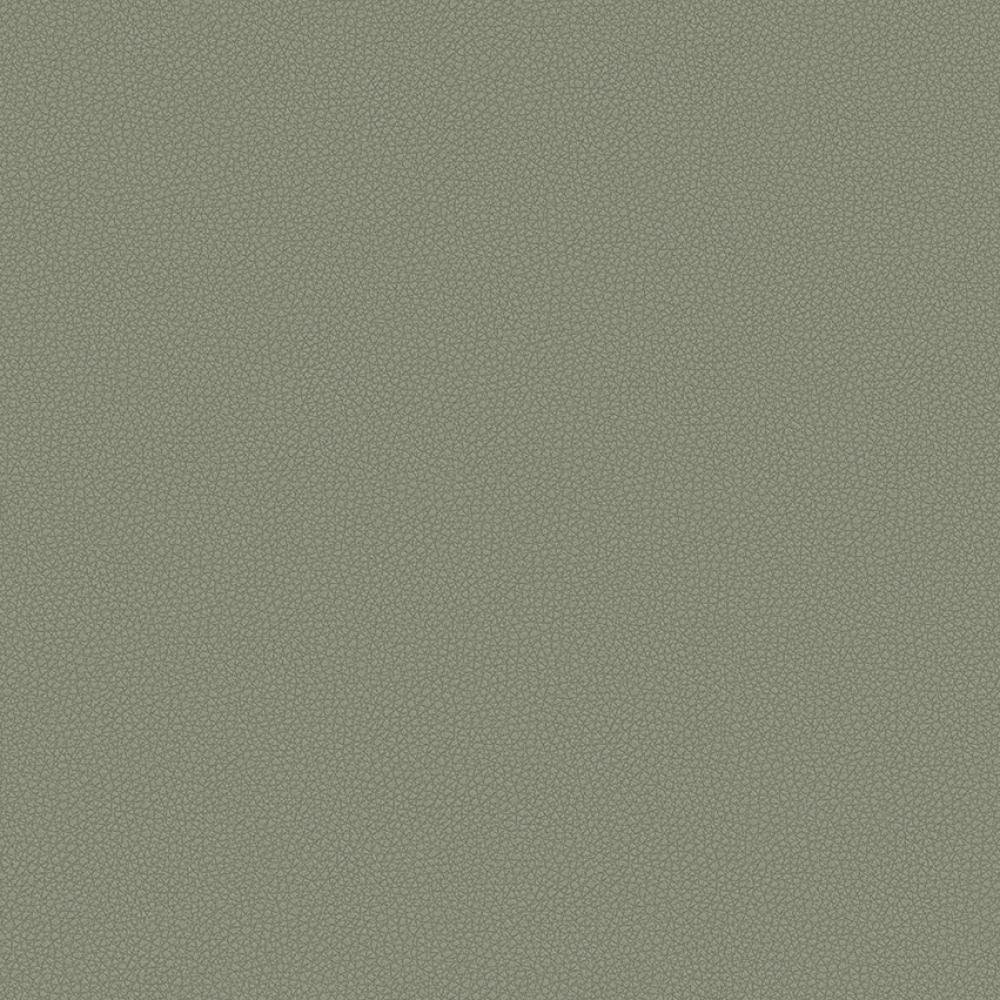 zoomed-img