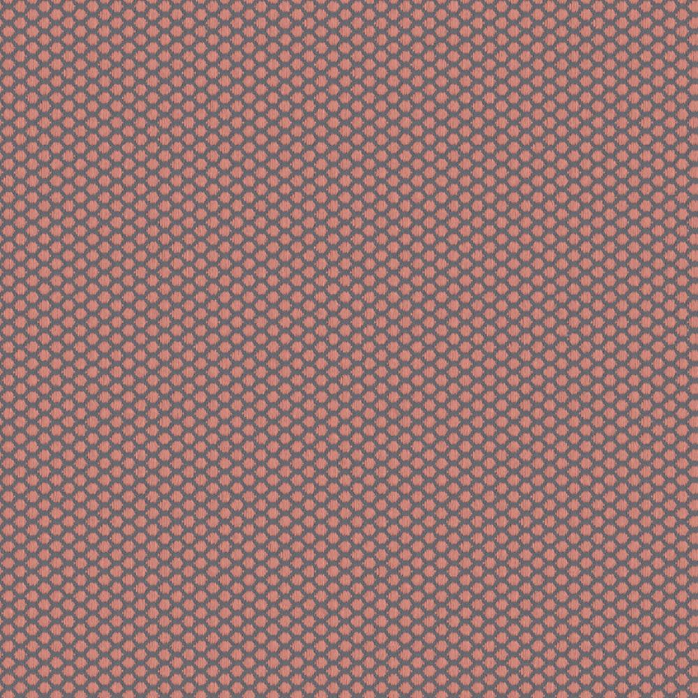 zoomed-img